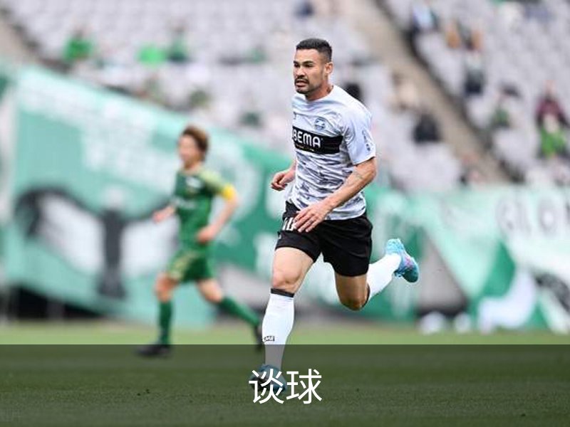 谈球概况